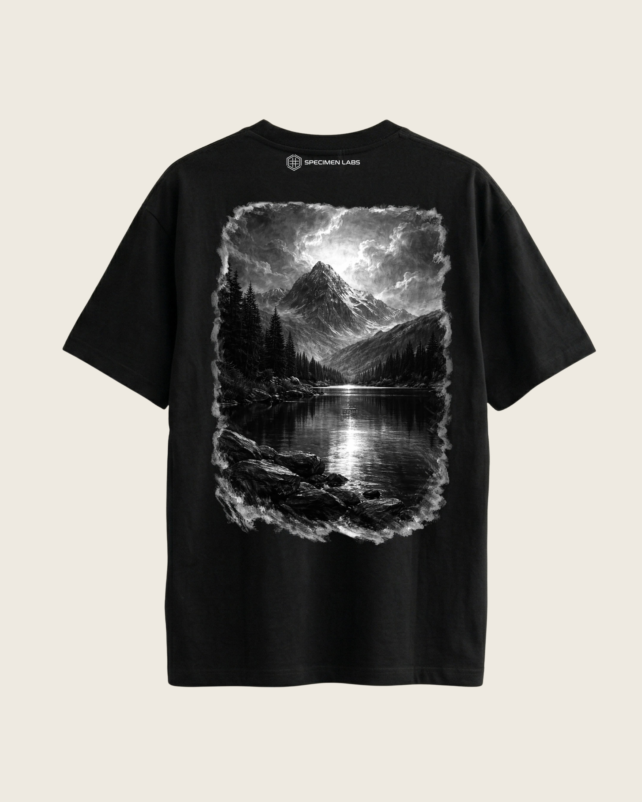 Ansel Adams Zones System