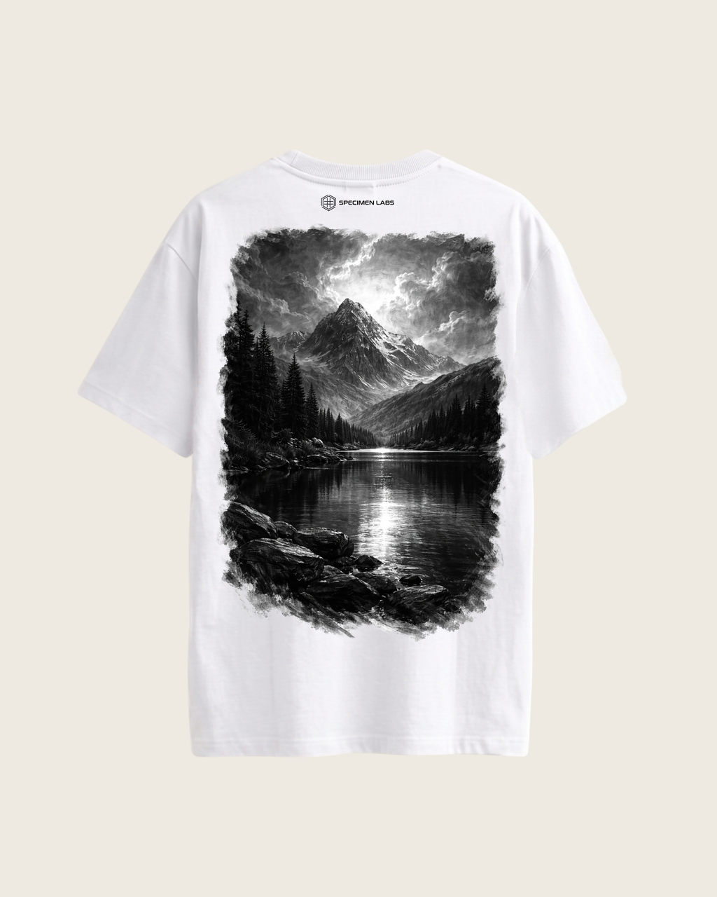 Ansel Adams Zones System