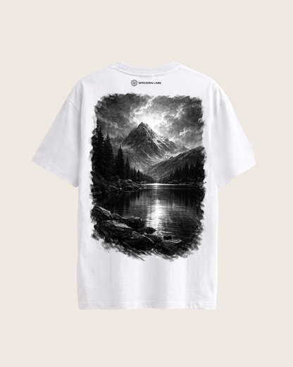 Ansel Adams Zones System
