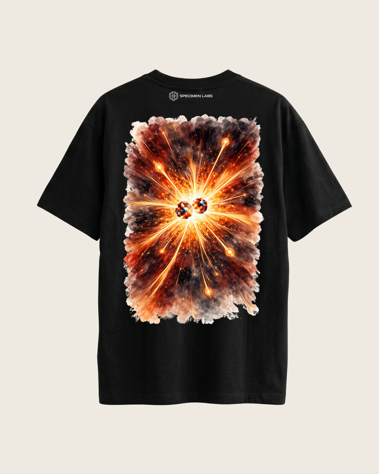 Nuclear Fusion