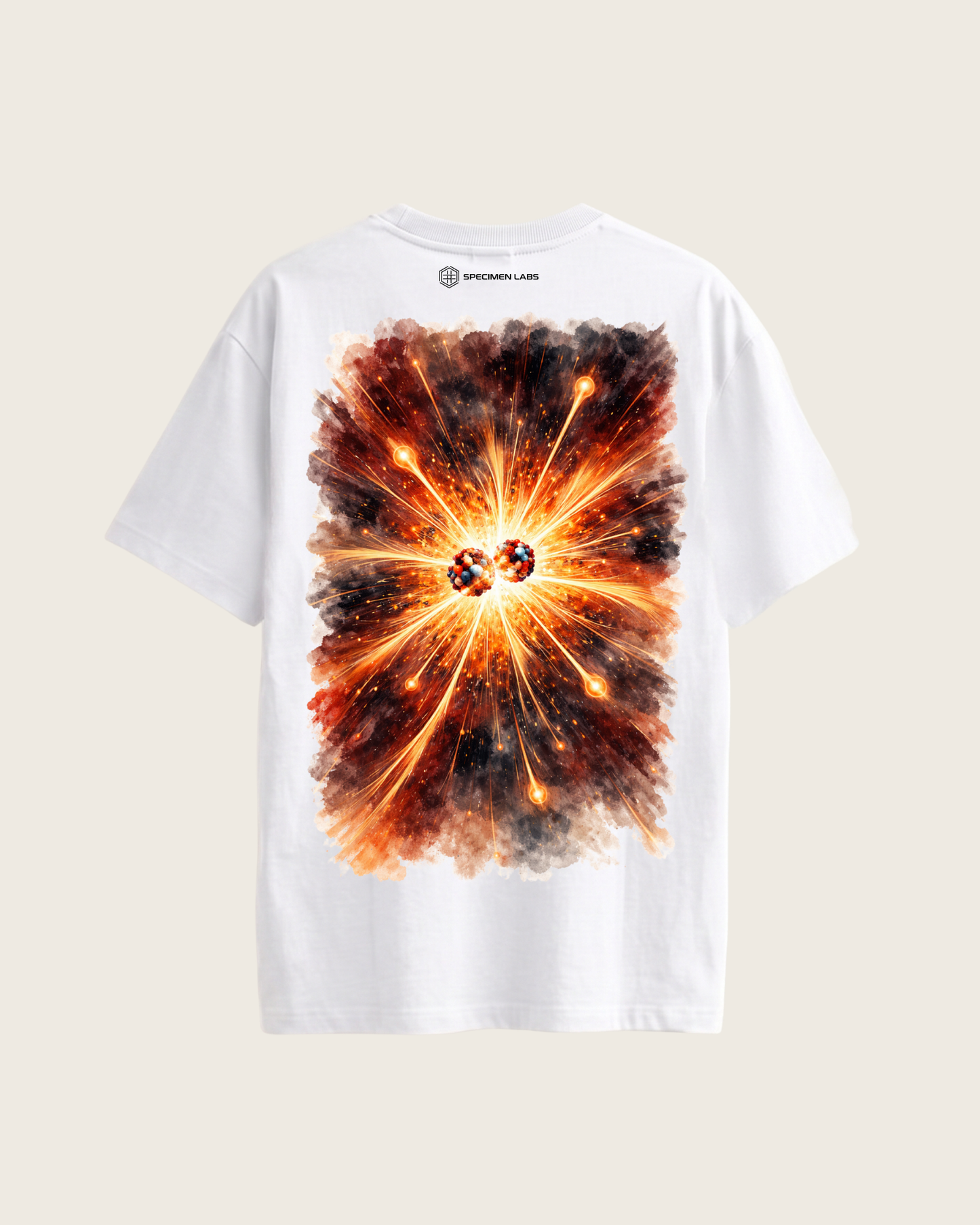 Nuclear Fusion